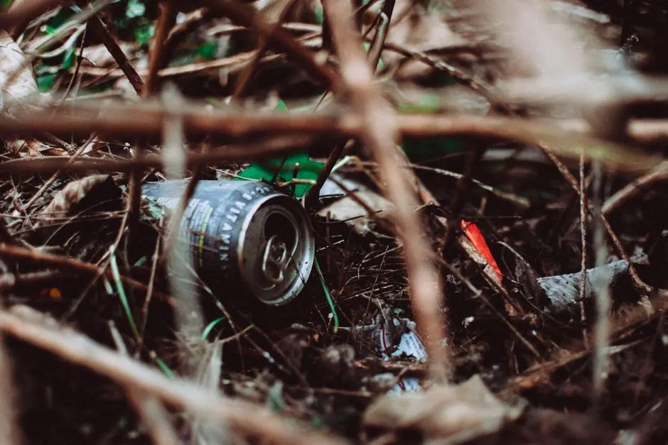 Decomposition Cleanup in Lake Jackson, Texas